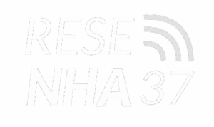 resenha puro neg